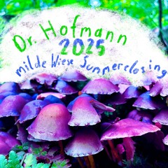 Dr. Hofmann | Milde Wiese Summerclosing 2025