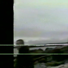 trees, drip-133, & soap. - foglamp (being_)