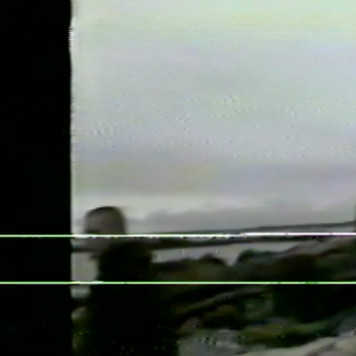 trees, drip-133, & soap. - foglamp (being_)