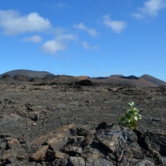 New Earth