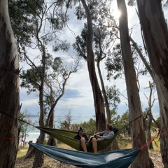 16/3 dedicated to cyclone sammy