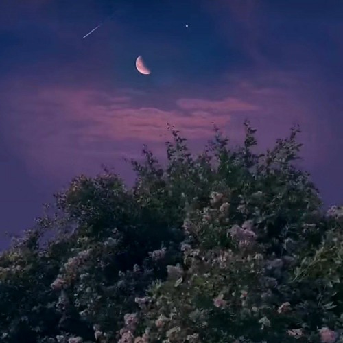 snowfall Sped Up · Øneheart · reidenshi - 1 HOUR