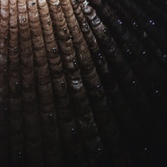 Claroscuro