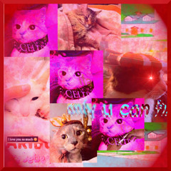 up 2 u prod coco beats