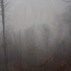 Hudson Freeman - If You Know Me (willyb remix)