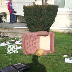 These Strees Are Real