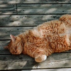 An Vũ | Mình Yêu Nhau Từ Kiếp Nào Cover