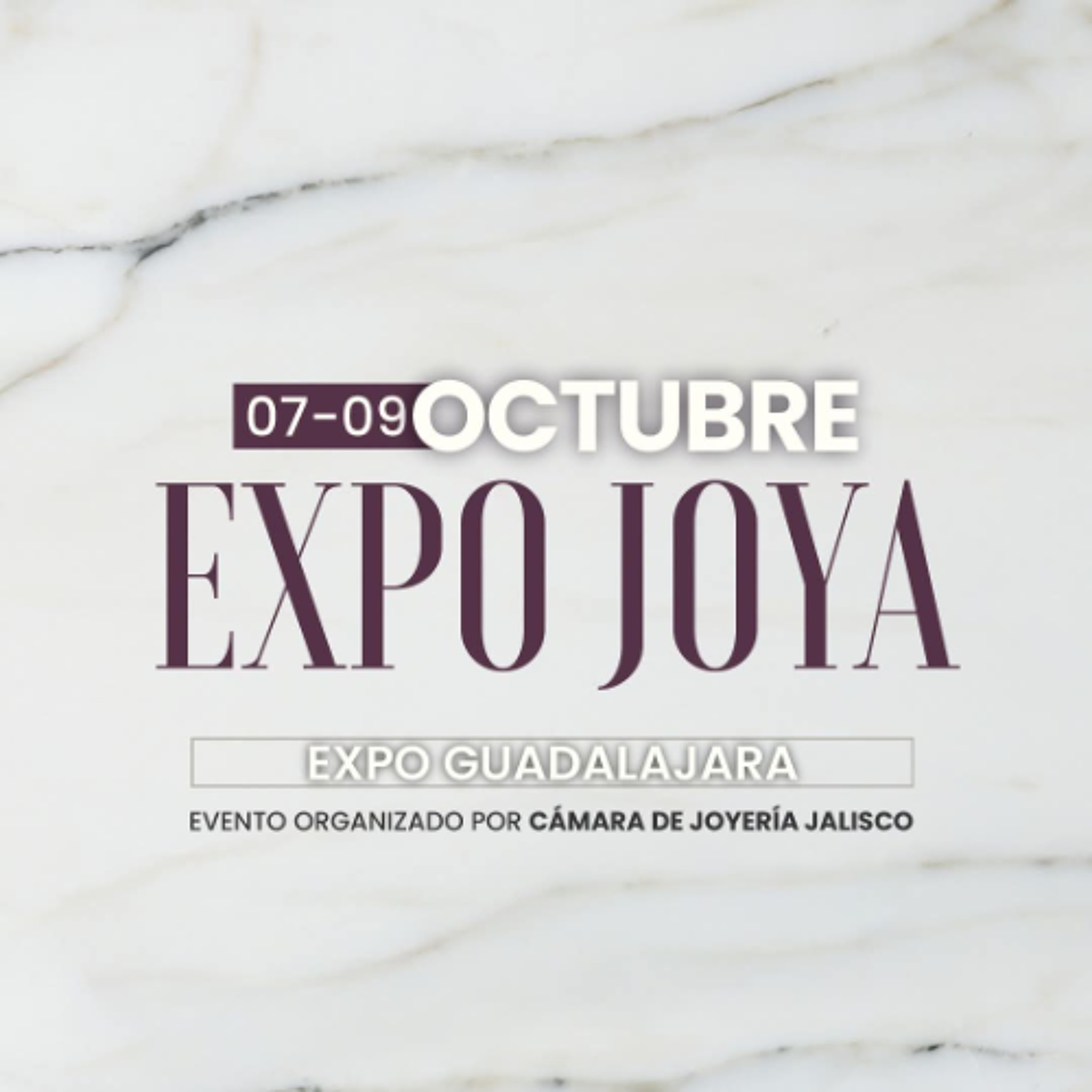 Expo Joya octubre en  Jalisco oportunidad para hacer negocio: Londres  Cázares episode artwork