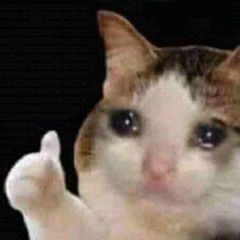 im fine-