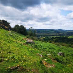 Hills and Valleys by Sam Massey