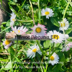 Havvoc - Mochy Feat. Eddy Young