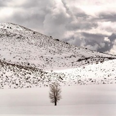 In The Wintertime