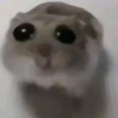 Sachsen-Anhalterklatsche