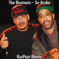 The Beatnuts - Se Acabo (RazPeat Remix)