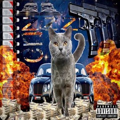 Crash out (Prod.amuitat)