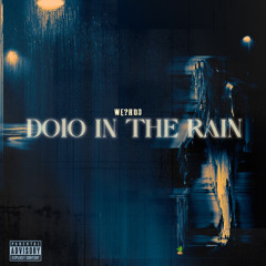 Dolo in the rain