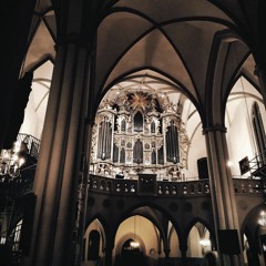 Orgel- und Hornprobe in der Nikolaikirche im Nikolaiviertel. 11 November