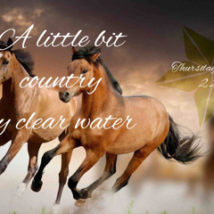 A_little_bit_country_.m4a