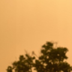 All Warfare Is Based On Deception