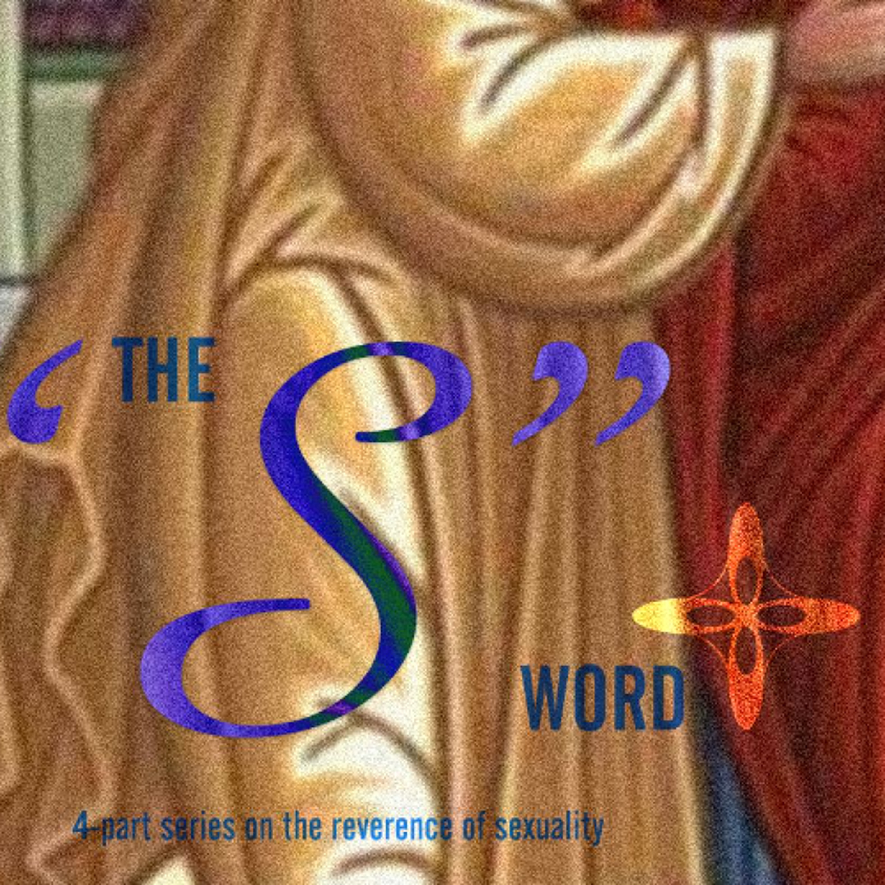 The Delicacy of it - The "S" Word (Part 1) episode artwork