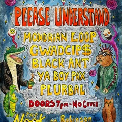 Please Understand: Black Ant Live @ the Nook on Robinson 17/12/21