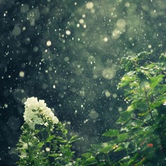 Summer's Last Storms