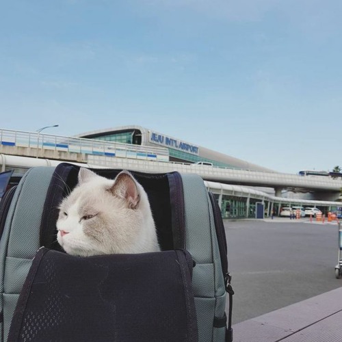 연남아 바운스 쿨타임 왔다 ㄹㅅㄱ