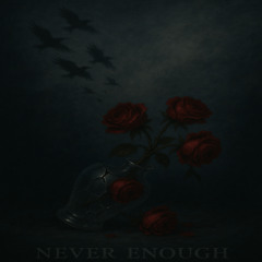 Never Enough