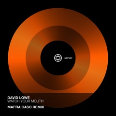 David Lowe - Watch Your Mouth (Mattia Caso Remix)