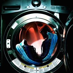 Shoes in the dryer