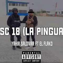Yahir Saldivar FT El Flako - SC 18 La Pingua