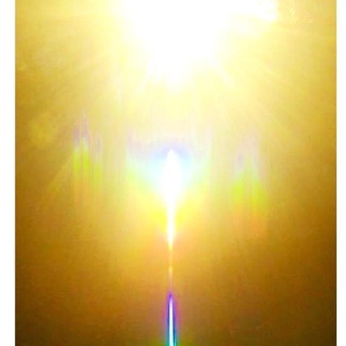 In Goddelijk Licht En Liefde