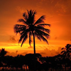 Chill Out Beach