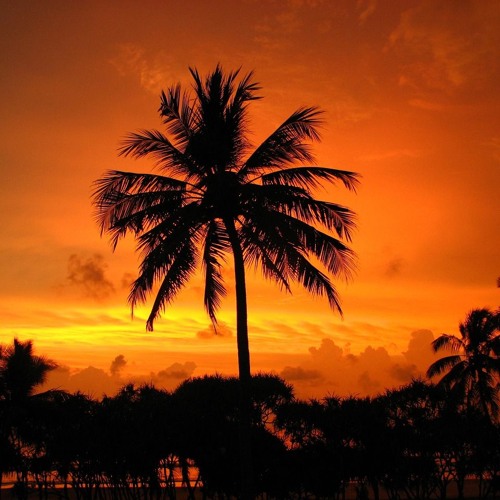 Chill Out Beach