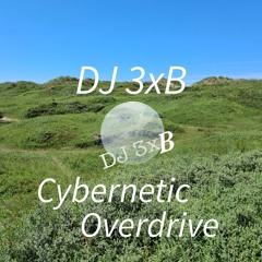 Cybernetic Overdrive