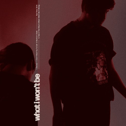 What I Wont Be EP