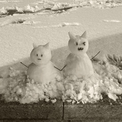 snowed in (p. twice!)
