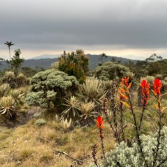Páramo Belmira Storm