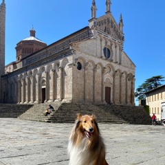 In viaggio 43 Massa Marittima (GR)