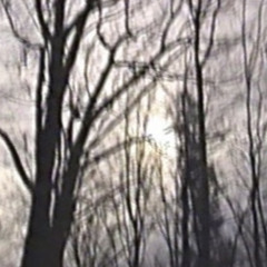 hellutalmbout prod pieruun