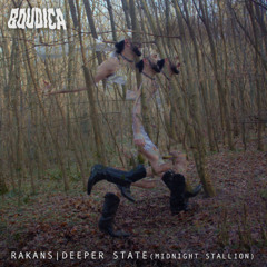 Premiere: RAKANS - Magnetic Flow