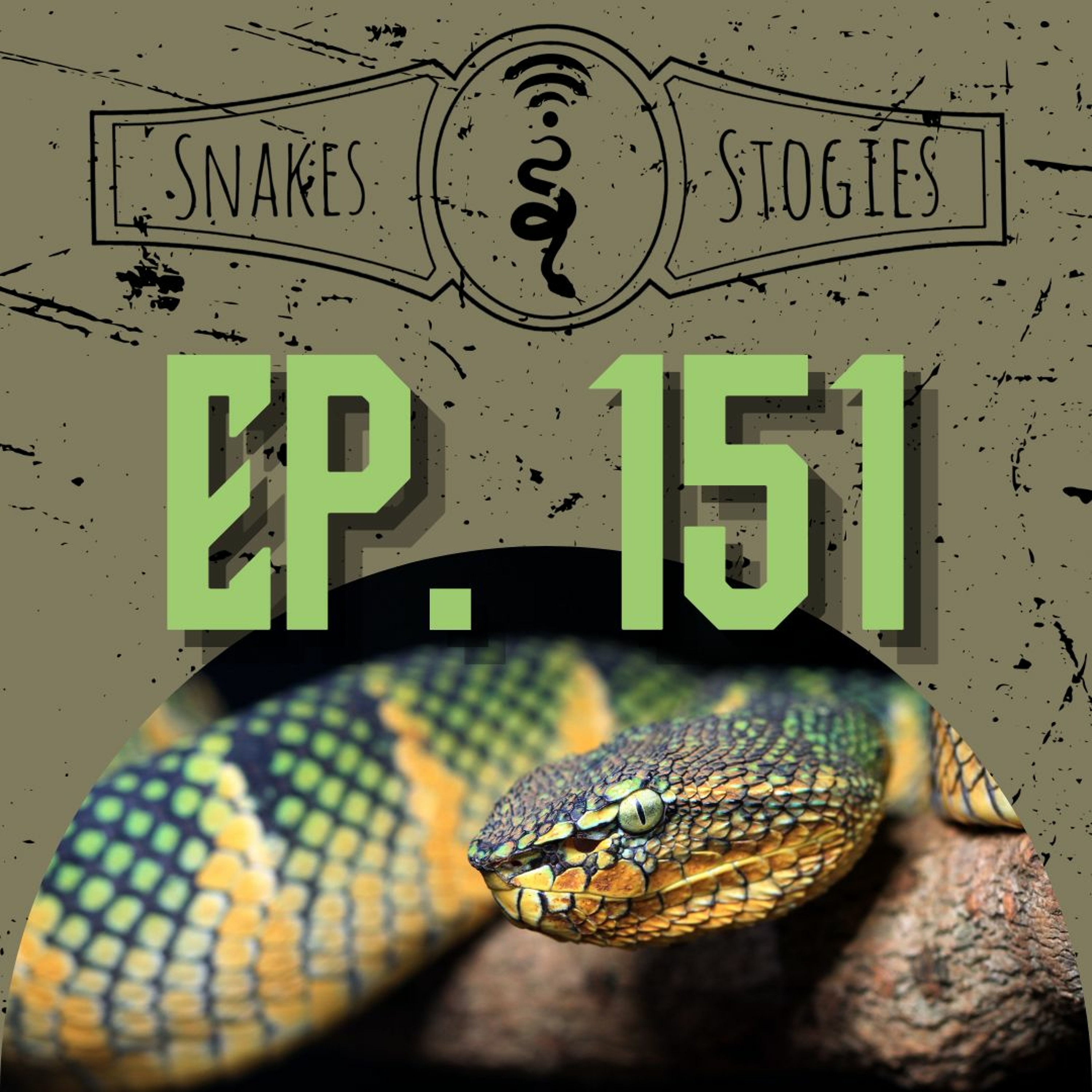 Bringing TX to Canada w Mike Gillon | Snakes & Stogies Ep. 151