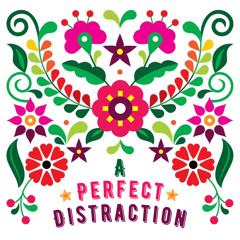 Perfect Distraction /// Adam Turner /// May 2024