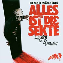 Gar Nich So Schlimm Hardtekk Remix