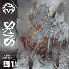 PM RADIO NTS Endgame & SKINS (30.03.22)