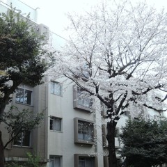 sad without u ˚｡ (jichu)