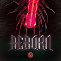 DISTO - REBORN (master by GRAVE )