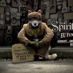 MIKE KENNEDY - EU Fundraiser/Vienna (The SPIRIT Train)