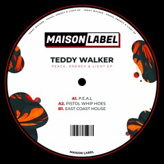 Teddy Walker - Pistol Whip Hoes