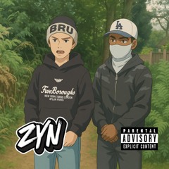 ZYN